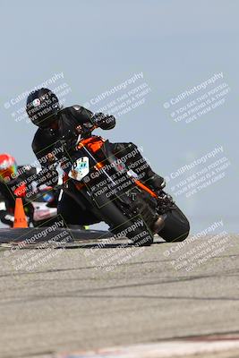 media/Mar-22-2025-TrackDaz (Sat) [[0456df0c41]]/Group B/Session 2 (Grapevine)/